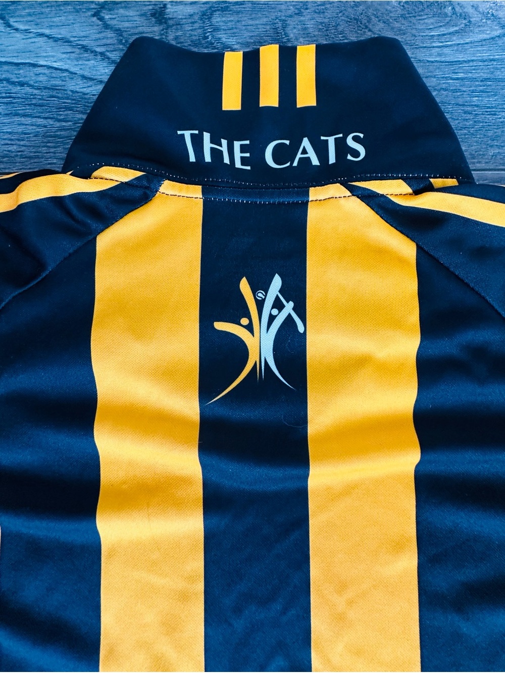 Vintage Kilkenny GAA Home Jersey by O'Neills Men's Size Large Irish Hurling Cats
